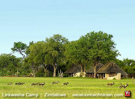 Linkwasha Camp Zimbabwe